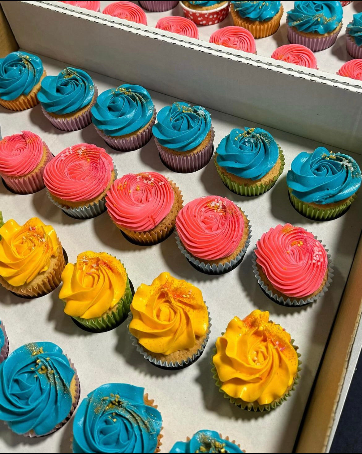 12 Multi coloured cupcakes